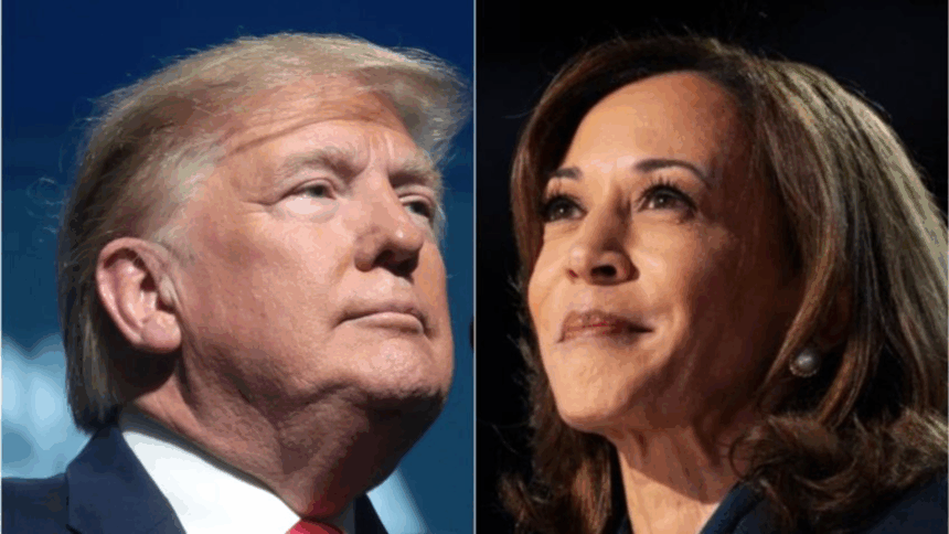 The U.S. Elections Will Have Worldwide Economic Consequences