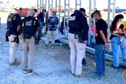 Auto workers union condemns Hyundai working conditions in wake of federal raid on Georgia site
