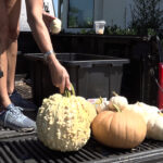 Seasonal porch decorators say business is taking off this year
