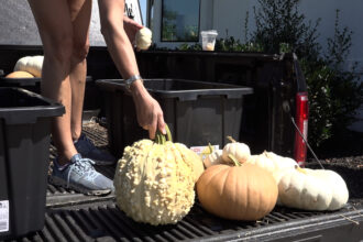 Seasonal porch decorators say business is taking off this year