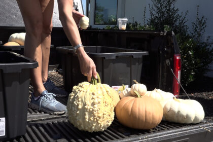 Seasonal porch decorators say business is taking off this year