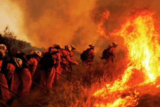 Newsom vetoes firefighter pay raise months after California's most expensive wildfire