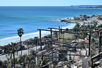 Palisades Fire arrest: The financial cost of one of LA’s most devastating blazes
