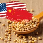 US Importers Rush Spring Orders – Fear of Tariffs Forces Companies to Act Early 2 US Importers Rush Spring Orders – Fear of Tariffs Forces Companies to Act Early