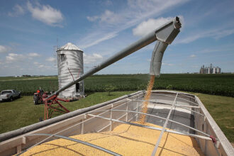 Trump calls China soybean cuts 'economically hostile' act against American farmers nationwide