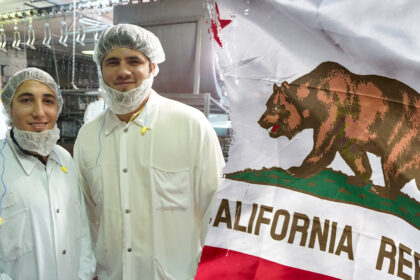 Businessman-turned-gubernatorial candidate reveals how Dem regulations destroyed his family's company